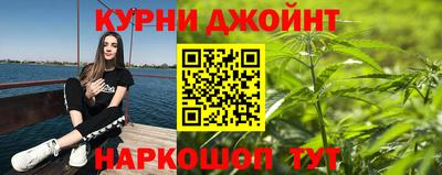 стаф Бузулук