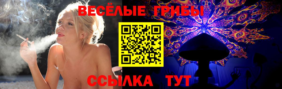 Псилоцибиновые грибы мицелий  Галлюциногенные грибы GOLDEN TEACHER  Орск  Вход с VPN 